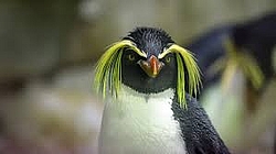 Bild von Lars Hellmich 